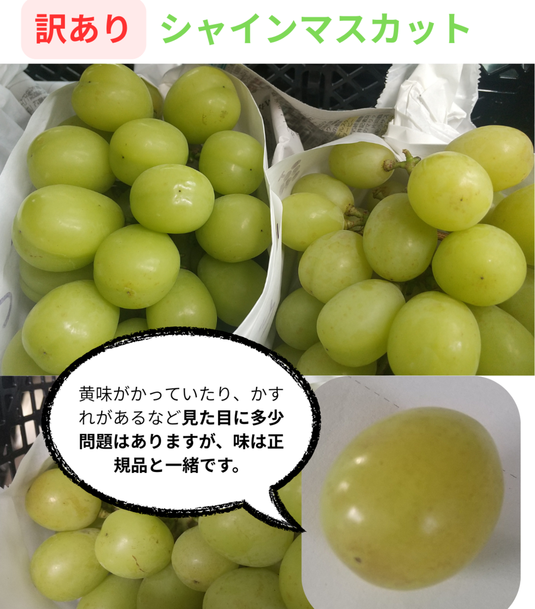 安部葡萄【訳あり】シャインマスカットとBKシードレス2kg 食べ